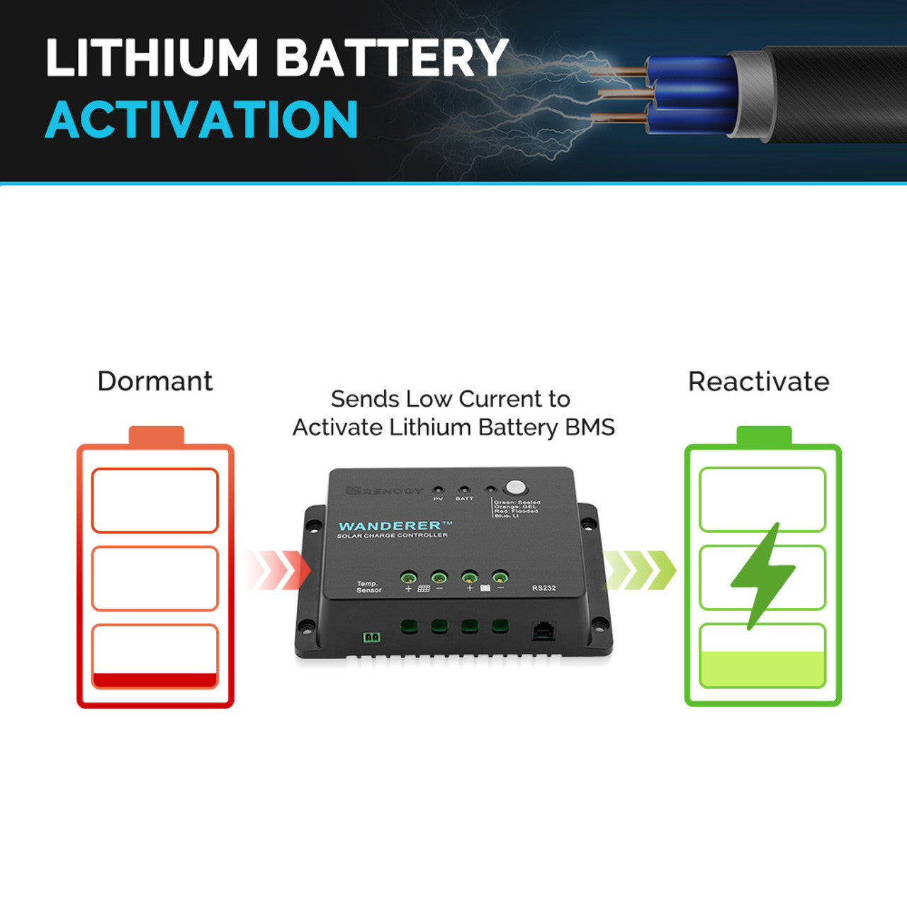 Renogy Wanderer Li 30A PWM Charge Controller