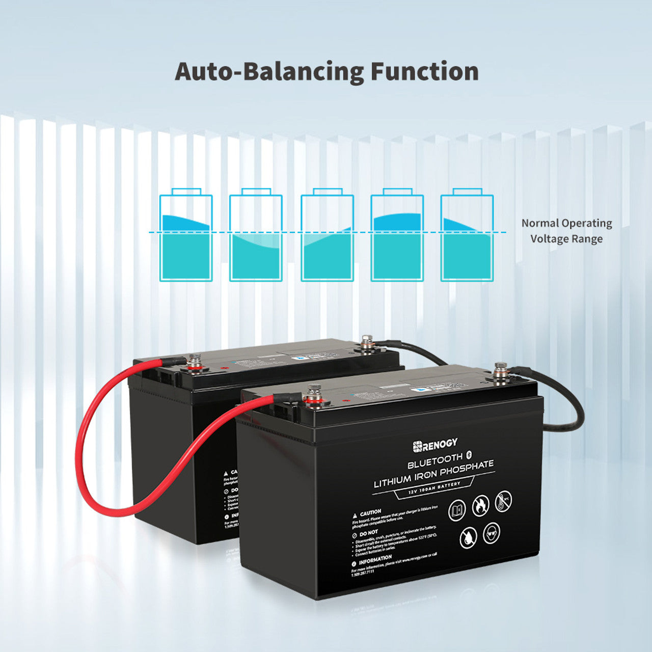 Renogy 12V 100Ah Lithium Iron Phosphate Battery w/ Bluetooth