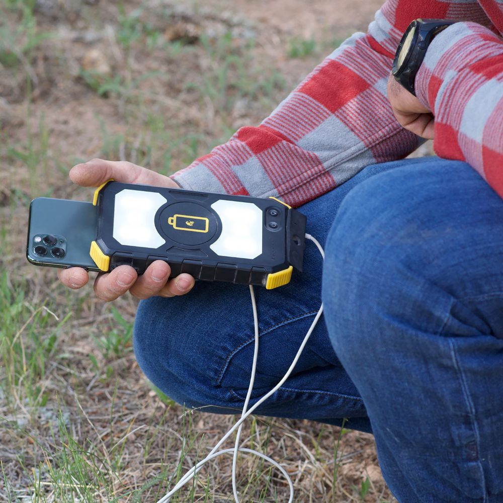 Lion Prowler Portable Power Unit